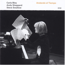 Carla Bley / Andy Sheppard / Steve Swallow Andando El Tiempo Vinyl LP USED