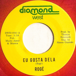 Rogê Eu Gosto Dela / Seu Zé Vinyl 7" USED