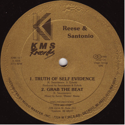 Reese & Santonio Truth Of Self Evidence Vinyl 12" USED