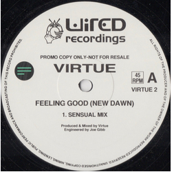 Virtue Feeling Good (New Dawn) Vinyl 12" USED