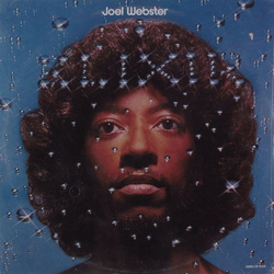 Joel Webster Elixir Vinyl LP USED
