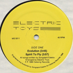 Electric Toys Evolution Vinyl 12" USED