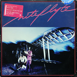 Niteflyte Niteflyte Vinyl LP USED