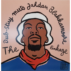 Dub-Stuy / Jahdan Blakkamoore The Linkage Vinyl 12" USED