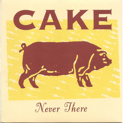 Cake Never There Vinyl 7" USED