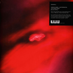 Siavash Amini / Saffronkeira The Faded Orbit Vinyl LP USED