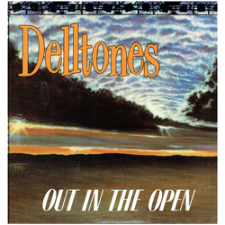 The Delltones Out In The Open Vinyl LP USED
