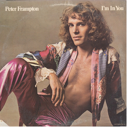 Peter Frampton I'm In You Vinyl LP USED