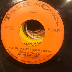 Robbie Mitchell (3) / Darryl Patterson (2) I Lost My Love (In A Beggar's Dream) Vinyl 7" USED