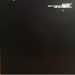 Garbage Queer (Remixes) Vinyl 12" USED