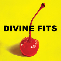 Divine Fits A Thing Called Divine Fits Vinyl LP USED