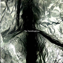 The VanishingLines No Replacement Found Vinyl LP USED