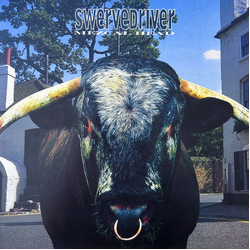 Swervedriver Mezcal Head Vinyl LP USED