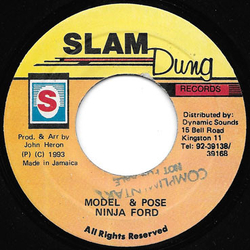Ninja Ford Model & Pose Vinyl 7" USED