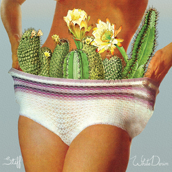 White Denim Stiff Vinyl LP USED