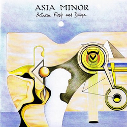 Asia Minor Between Flesh And Divine Vinyl LP USED