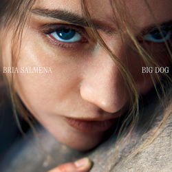 Bria Salmena Big Dog Vinyl LP USED