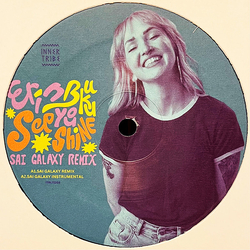 Erin Buku See You Shine Vinyl 12" USED