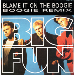 Big Fun Blame It On The Boogie (Boogie Remix) Vinyl 12" USED