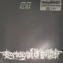 Portrayal Of Guilt Christfucker Vinyl LP USED
