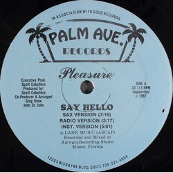 Pleasure (28) Say Hello USED VINYL 12INCH 33 S RPM