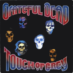 The Grateful Dead Touch Of Grey Vinyl 7" USED