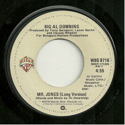 Al Downing Mr. Jones (Long Version) Vinyl 7" USED