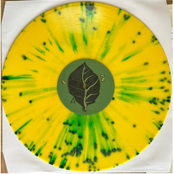 Peaness Are You Sure? Vinyl LP USED