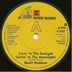 Geoff Muldaur Livin' In The Sunlight (Lovin In The Moonlight) Vinyl 7" USED