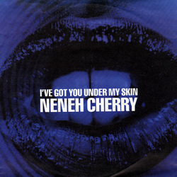 Neneh Cherry I've Got You Under My Skin Vinyl 7" USED