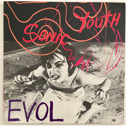Sonic Youth EVOL Vinyl LP USED