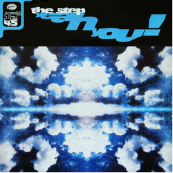 The Step Yeah You! Vinyl 12" USED