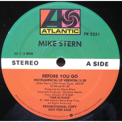 Mike Stern Before You Go Vinyl 12" USED