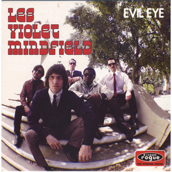 The Violet Mindfield Evil Eye Vinyl 7" USED