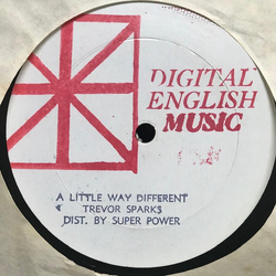 Trevor Sparks / Shawn Tyson A Little Way Different / Bad Pon The Dance Vinyl 12" USED