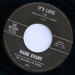 Mark Evans (22) It's Love / From A Jack To A King Vinyl 7" USED