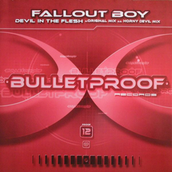 Fallout Boy Devil In The Flesh Vinyl 12" USED