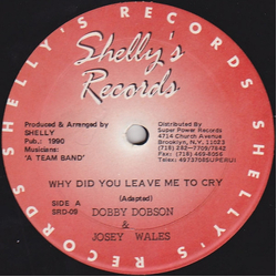Dobby Dobson / Josey Wales Why Did You Leave Me To Cry Vinyl 12" USED
