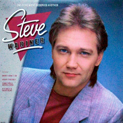 Steve Wariner One Good Night Deserves Another Vinyl LP USED