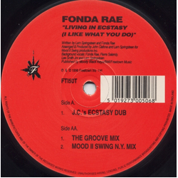 Fonda Rae Living In Ecstasy (I Like What You Do) Vinyl 12" USED