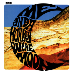 Felt Me And A Monkey On The Moon Vinyl LP USED