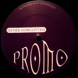 Dj Pooch / Leftfield Never Forgotten Vinyl 12" USED