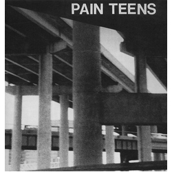 Pain Teens Pain Teens Vinyl LP USED