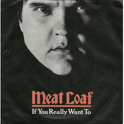Meat Loaf If You Really Want To Vinyl 7" USED