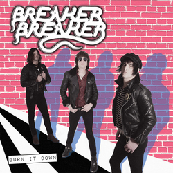 Breaker Breaker (2) Burn It Down Vinyl LP USED