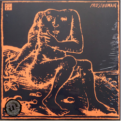 Camera (10) Prosthuman Multi Vinyl LP/Vinyl 12" USED