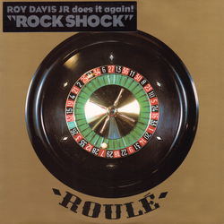 Roy Davis Jr. Rock Shock Vinyl 12" USED