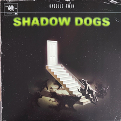 Gazelle Twin Shadow Dogs Vinyl LP USED