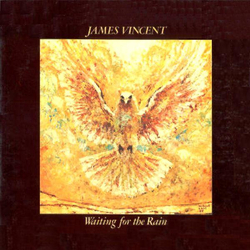 James Vincent Waiting For The Rain Vinyl LP USED