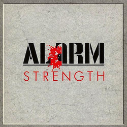 The Alarm Strength Vinyl LP USED